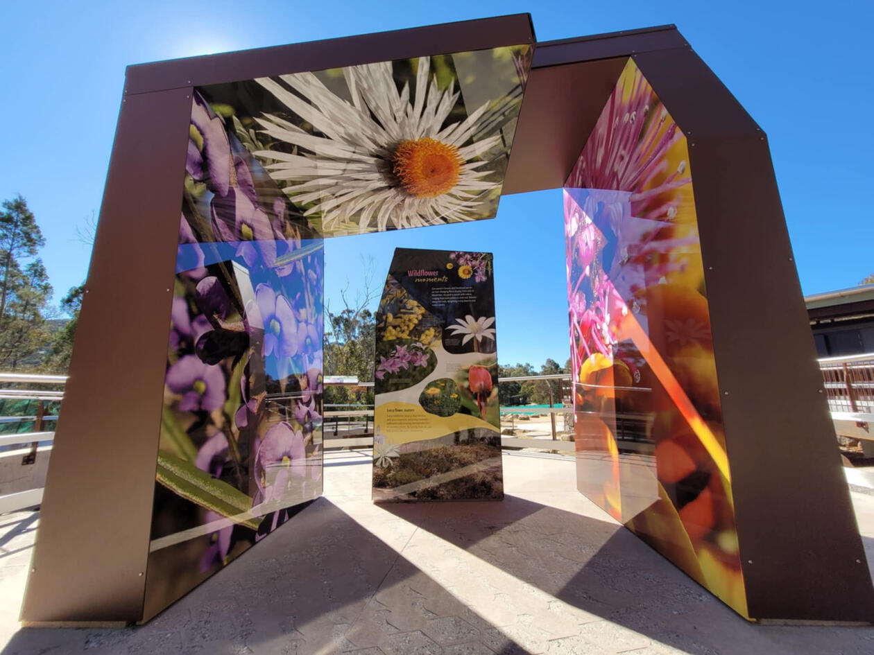 Photo: Jolene Nelson © QPWS