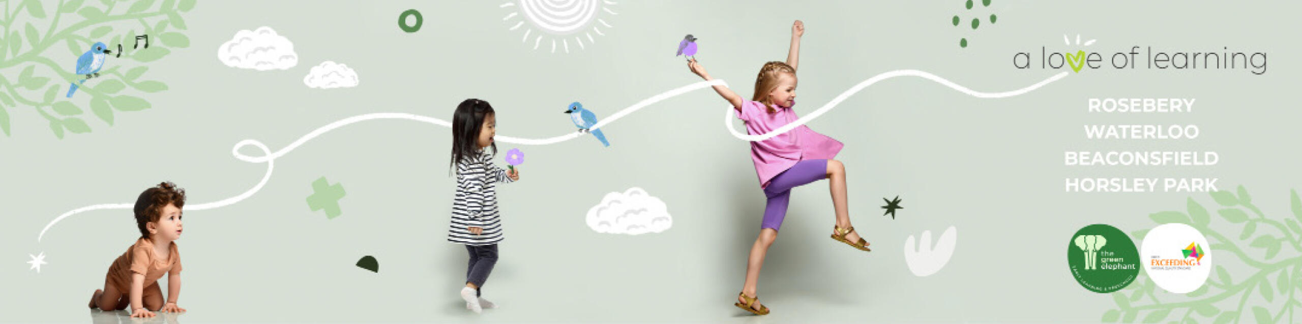 The Green Elephant rebranded digital marketing